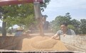 郏县：一辆三轮车 “三夏”助乡邻