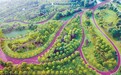 新余渝水区：“口袋公园”美如画（图）