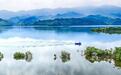 樟树：守护一泓碧水（图）