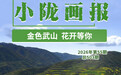 甘肃武山进入最美时节　六十余万亩油菜花尽情盛放