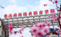 这就是枣庄｜继小龙虾、螺蛳粉后，枣庄辣子鸡喜提专属学院！
