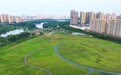 从荒芜脏乱到推窗见绿，新余这个民生公园“蝶变”记