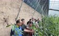 科技特派员下乡传技艺　甘肃崆峒助农增收有办法