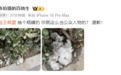 王晓晨被曝在公共场合乱扔烟头