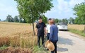 郏县纪委监委：全程监督护航“三夏”生产