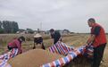 河南鲁山：麦田红马甲 帮扶助三夏
