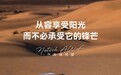 全球多地拉响高温警报，你的汽车隔热膜准备好了吗？