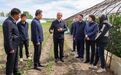 许勤到绥化肇东市调研