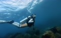2026年三沙直升机体验之旅推荐服务商家筛选技巧