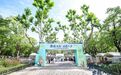10万人次打卡！江西百款农特产“出赣入沪”，惊艳上海