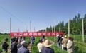 甘肃灵台田间课堂开讲啦　果农get苹果提质增产知识