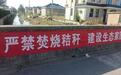 “秸”尽全力防焚烧 守护蓝天伴夏行——亭湖区便仓镇富民社区开展夏季秸秆禁烧专项行动