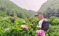 荒山种满牡丹圈粉游客药商　仨老汉一干就是30年