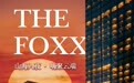 山海入夜，嗨聚云端丨潮启THE FOXX