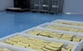烘焙半成品，廊坊市百馥食品有限公司的专业与品质