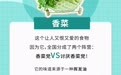 苦瓜香菜……你不爱吃的这几种食物里却藏着宝