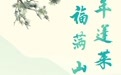 逛青草巷，品徐福文化！本周末，一起打卡象山这场非遗盛会