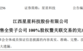 1元转让子公司100%股权 江西星星科技有何考量？