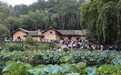 湖南迎来雨多晴少天气 这份端午出游+高速避堵指南请收好
