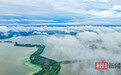 暴雨过后 武汉呈现平流雾景观