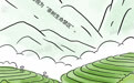 山水趣科普丨南茶北引：茶香跨越秦岭