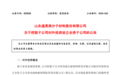 落子青岛：道恩股份为何新设贸易公司？