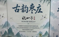 枣庄山亭花馍亮相外交部端午大集