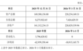 “保健品一哥”300146，跨界投资半导体公司
