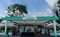 端午烟火气拉满！汕尾城区端午市集好物云集