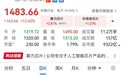 算力芯片概念震荡走强，寒武纪大涨12%