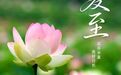 走，一起去拍养眼“荷”照