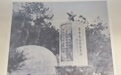溧阳市博物馆一张展出照片被指系AI生成 文旅部门人员回应