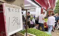 初夏武汉一元菜扎堆上市 十多种平价菜铺满菜场