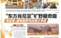 世界遗产盐城湿地出圈：“东方肯尼亚”凭鹿王IP联通全球