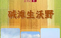习近平总书记关切事｜碱滩生沃野