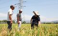 从“单点破局”到“全链赋能”  山海田野，奏响科技助农新乐章