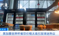 “世界杯特供”美式快餐，卖到500元，球迷大呼：吃不消