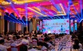 从杨梅季到夏日IP，看汾酒如何打造“第二增长曲线”