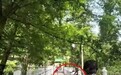 安徽九华山景区3只猴子围攻撕咬女游客，景区回应：暂未接到投诉，会马上核实