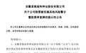 财务造假虚增1871万利润！安徽一上市公司停牌1天，明日将被ST