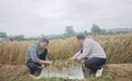 “虫口夺粮”保丰收　甘肃崆峒这样干