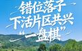 济南莱芜：错位落子，下活片区共兴一盘棋