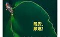 晚安心语丨且停，且忘，且随风；且行，且看，且从容！