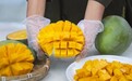 河谷日光凝果香 花城盛夏鲜果丰