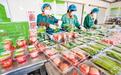 “河北净菜”进京记：种下订单菜 进京不愁卖