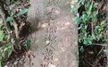 高安一工地发现古墓 当地文物部门：暂未开展考古发掘，墓主身份待考证