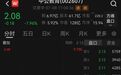 中公教育，股价大跌