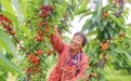 无边光景一时新 ——新安县整县片区化推进乡村全面振兴