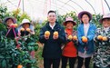 新余这位“网红”书记火了！用手机帮村民卖了430万元农产品