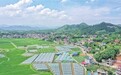 江西萍乡：产业兴田园美（图）